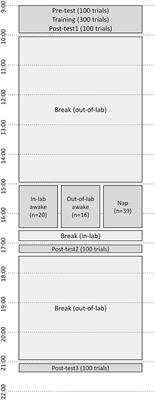 A nap consolidates generalized perceptual learning